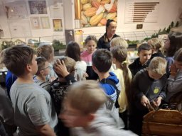 55866913112700028415943284619568708087121035n